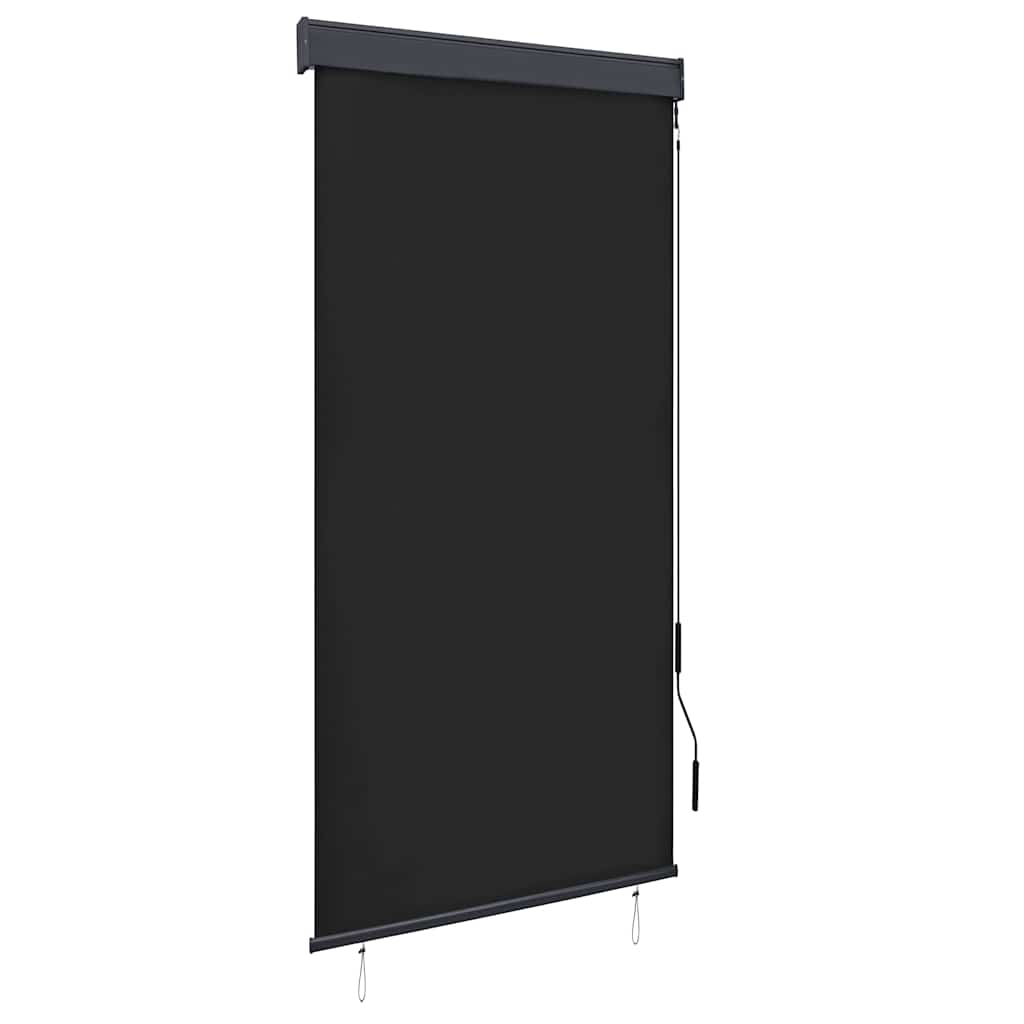 vidaXL Estor enrollable de exterior 100x250 cm