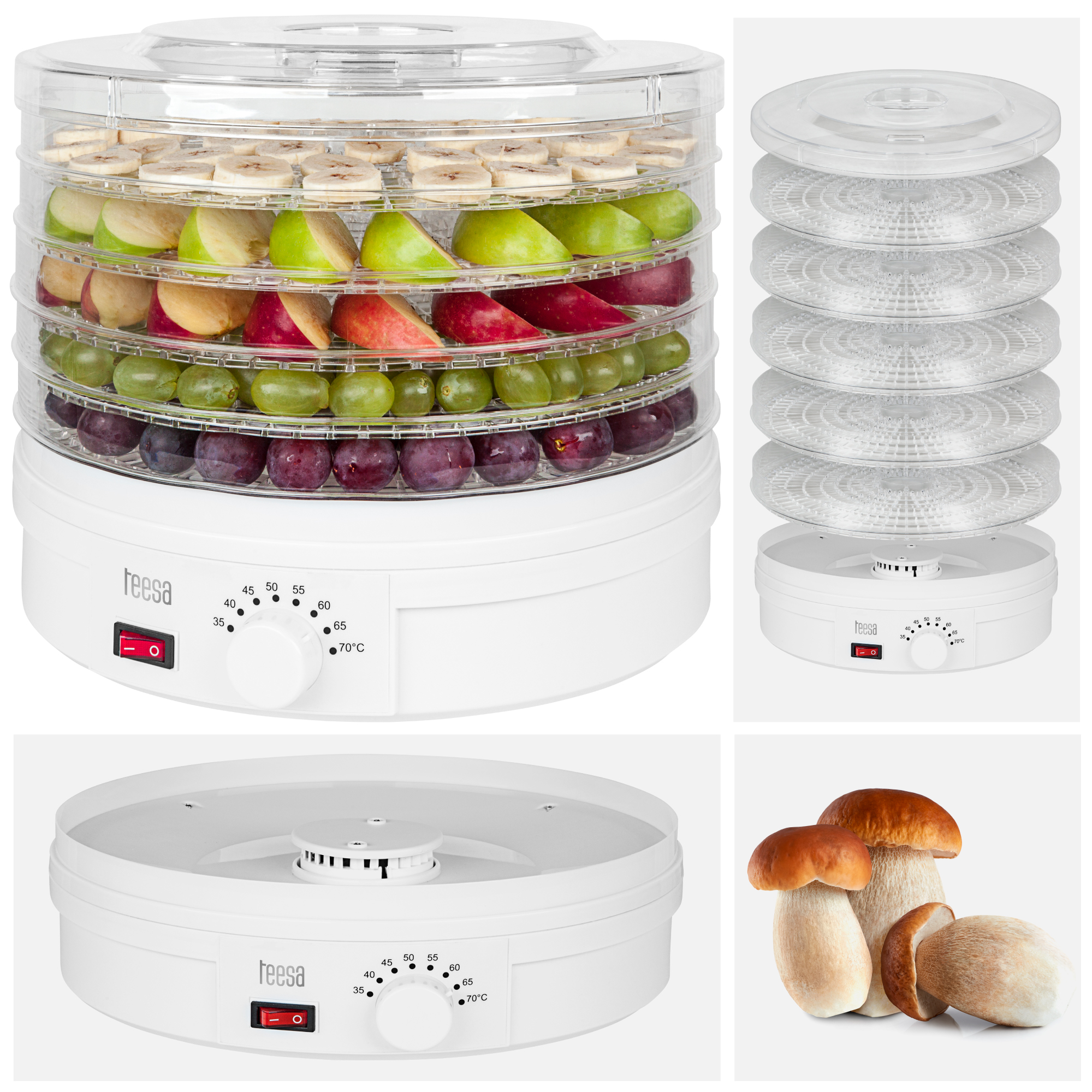 Deshidratador de alimentos para setas, verduras, frutas y hierbas 250W Teesa TSA3030