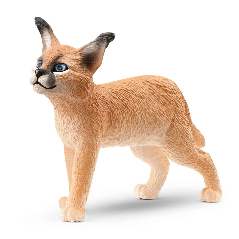 Cría de caracal
