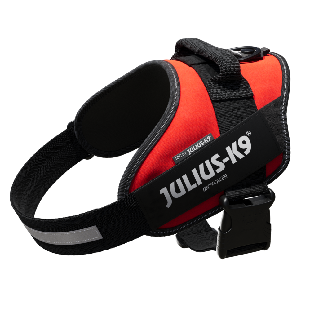 Arnes Julius-K9 IDC ,resistente ,arnes de alta calidad, comodo ,facil de poner,ajustable