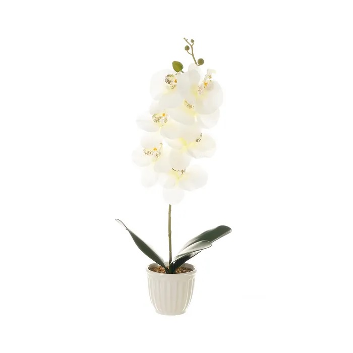 Factory Cuadros Cuadros Cuadros Cuadros Cuadros Cuadros - Planta Orquídea Poliéster Alta Calidad 22x12x58 Cm con Maceta Porcelana 11x11x10 Cm