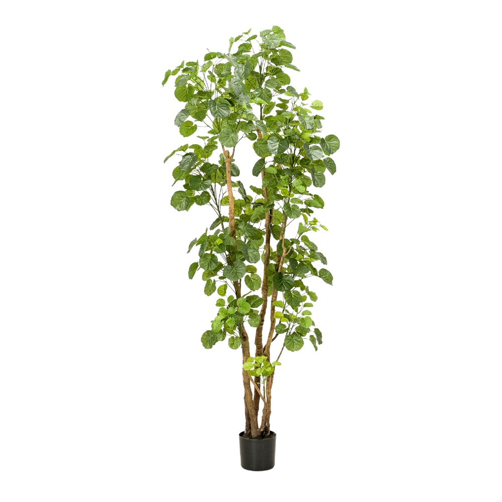 Planta Artificial Decorativa árbol Aralia - Misterwils Furniture For Free Souls 35x165x35