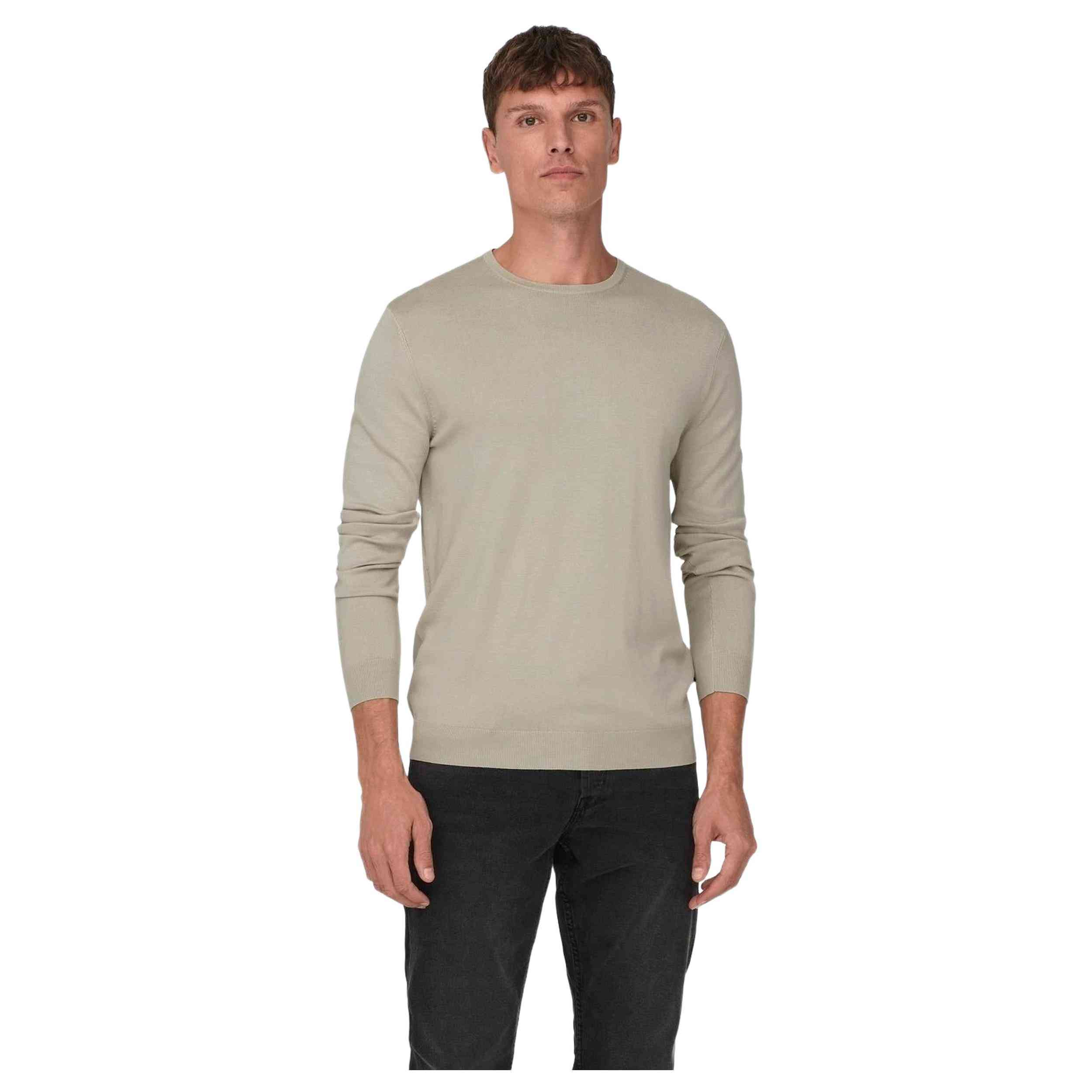 Jersei Only & Sons Wyler Life Reg 14Ls Crew Knit Noos