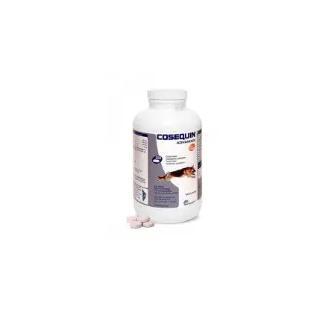 ECUPHAR AC COSEQUIN ADVANCE MSM HA 250CPD