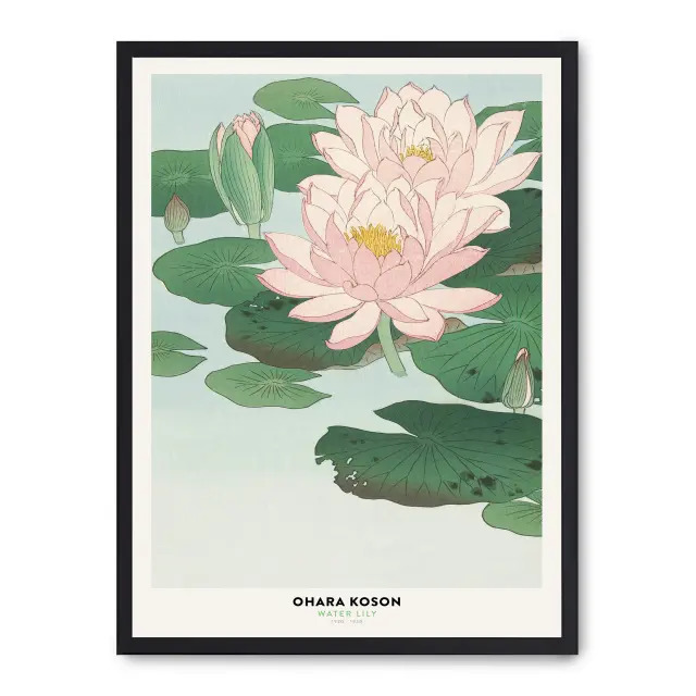 Cuadro water lily 30x40cm, Póster impreso en papel de primera calidad de 180gr, montado sobre marco de madera MDF acabado en negro., Arte - Japonés