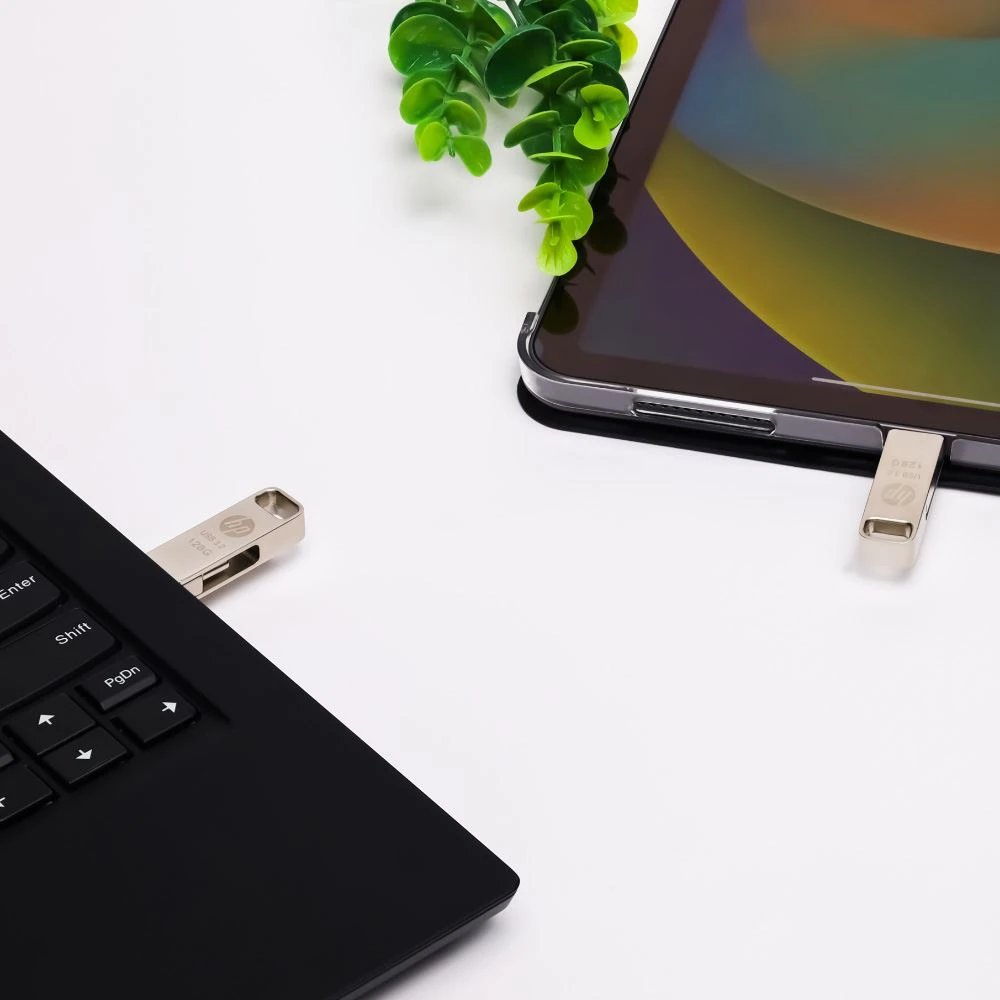 Memoria USB HP MM5235822  | 256GB, USB 3.2 Gen 1 (3.1 Gen 1) - USB Type-A / USB Type-C, Plata