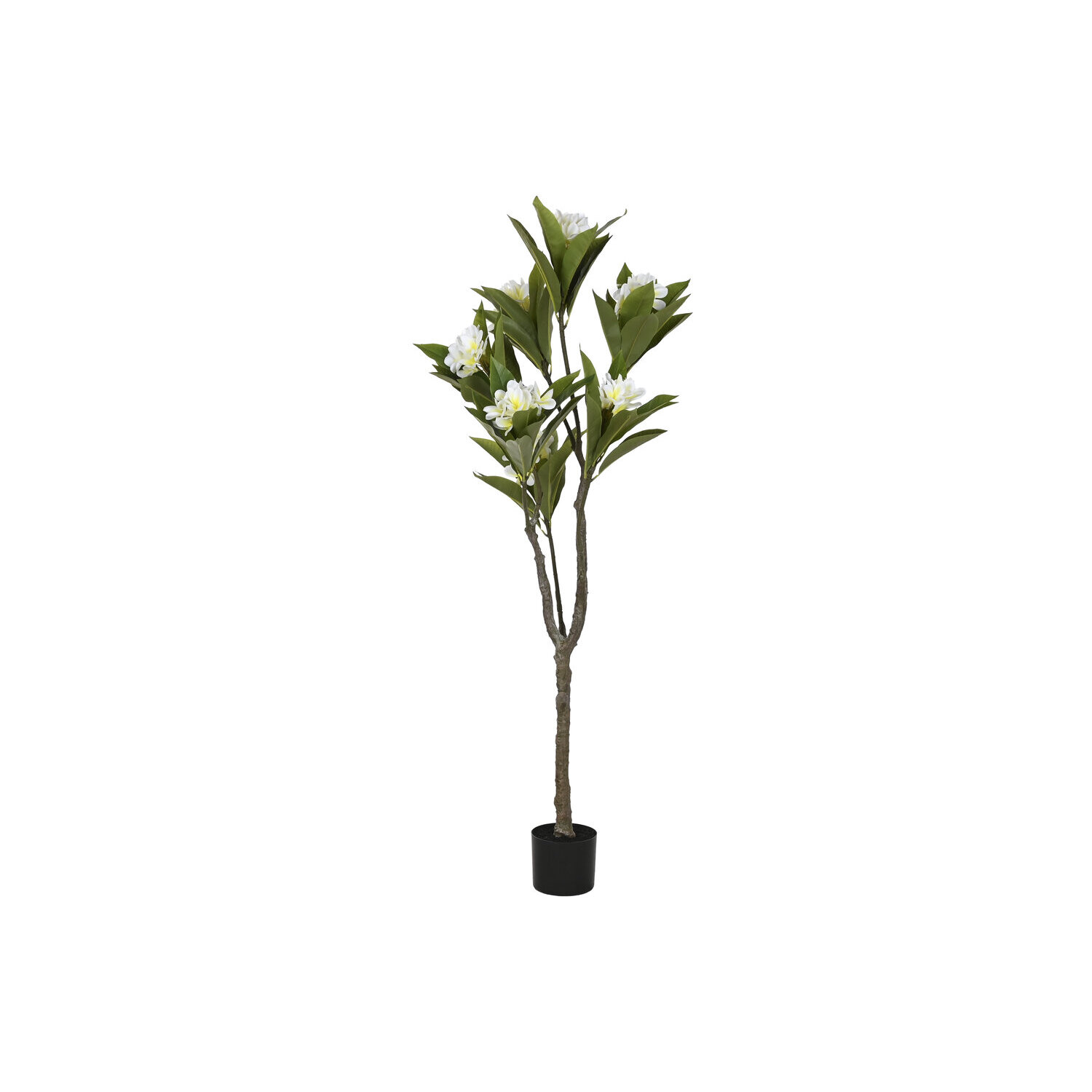 Arbol pe 80x80x150 frangipani flor tahiti blanco El mejor complemento para tu hogar.