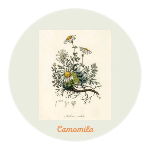 Ideal para deportistas