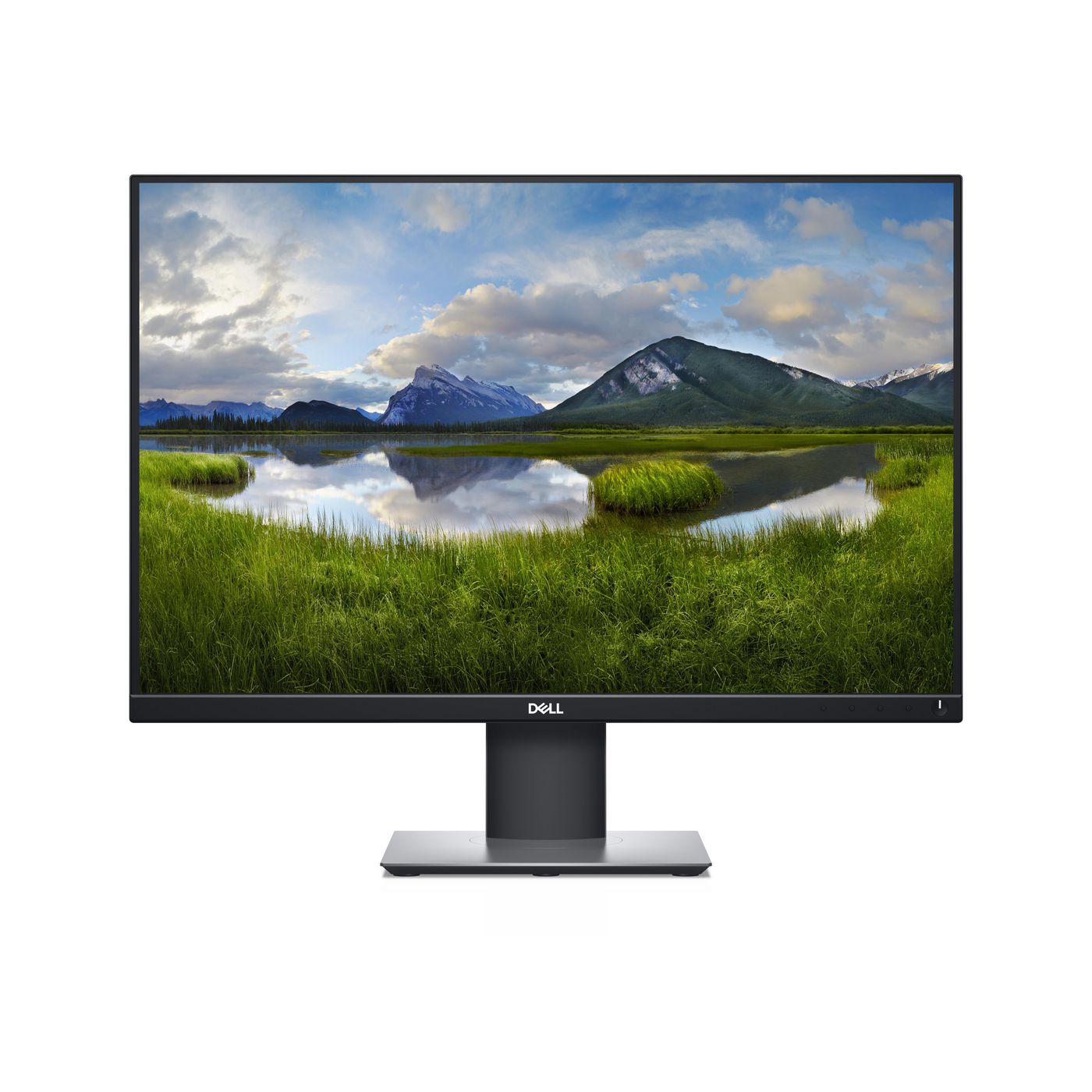 Monitor Dell P2421 de 24 Pulgadas con Resolución 1920x1080