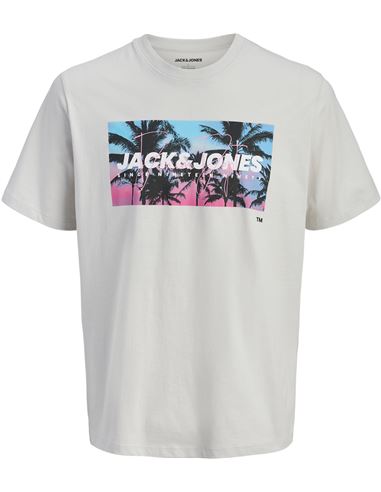 CAMISETA HOMBRE MANGA CORTA REGULAR ALGODON JACK&JONES JJINDIANA 12288112