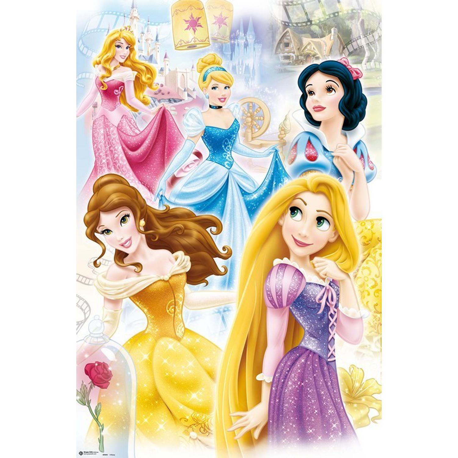 Grupo Erik Editores Disney Princess-Grupo - Poster, 61 x 91.5 cm