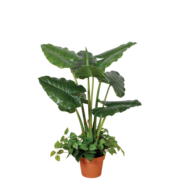 Catral | Planta Artificial Taro 100 Cm | Plantas Artificiales Realistas | Decoración Para Hogar Y Oficina | Planta Artificial Grande | Perfecta Para Ambientes Modernos