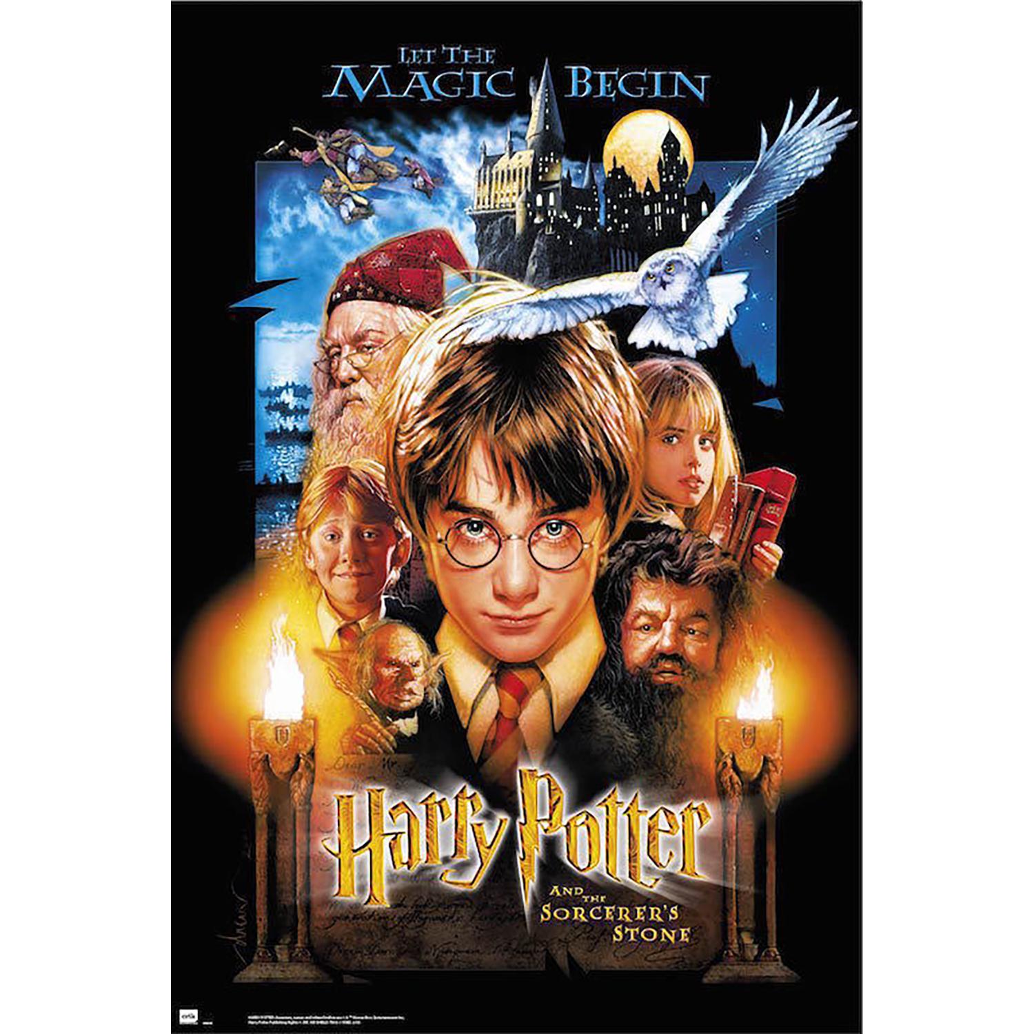 Grupo Erik Poster Harry Potter 1