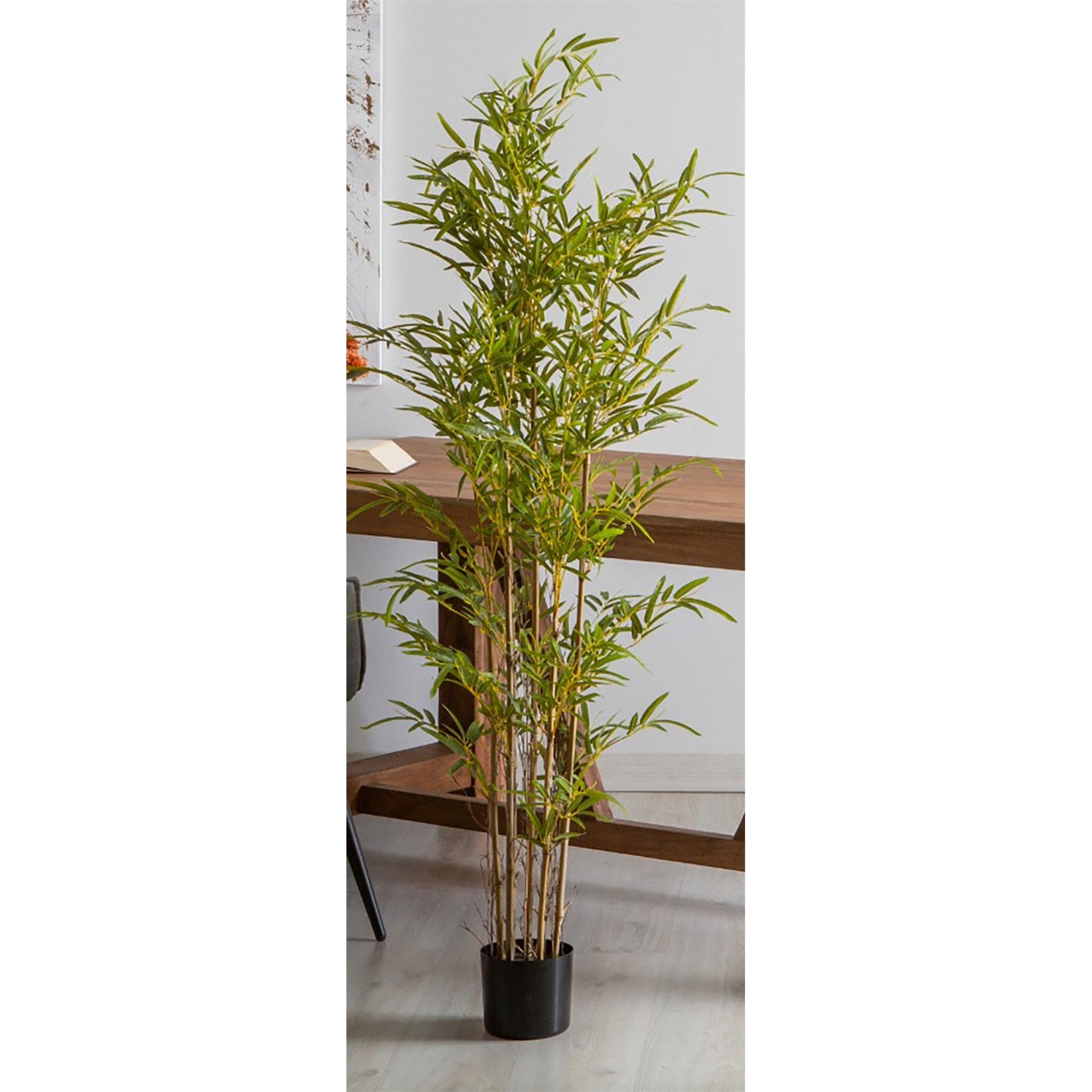 Planta bambu 165 cms. 165 cms. El mejor complemento para tu hogar lo encontrarás aquí.