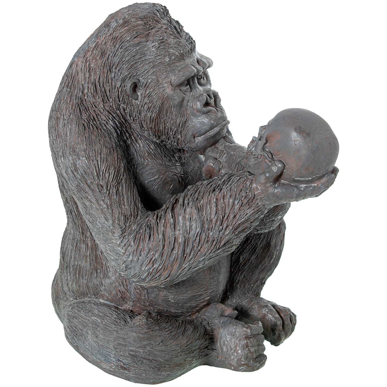Figura resina gorila con calavera 39x33x44cm