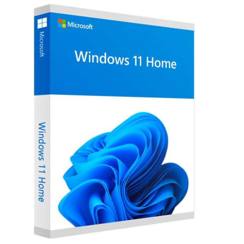 Windows home 11 32/64bit esp usb