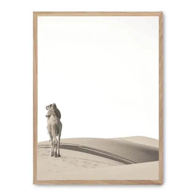Cuadro camels i 30x40cm, Póster impreso en papel de primera calidad de 180gr, montado sobre marco de madera MDF acabado roble., Naturaleza - Desierto