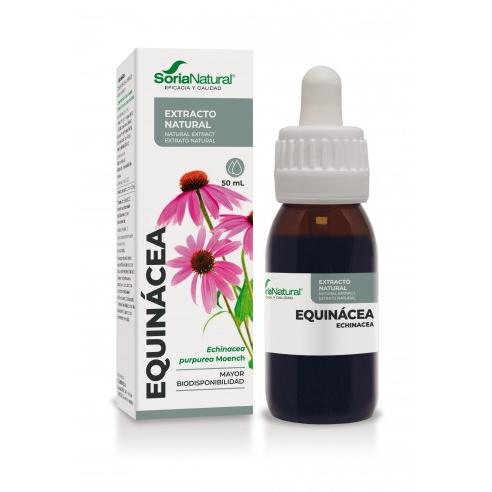ECHINACEA Extracto 50 mililitros