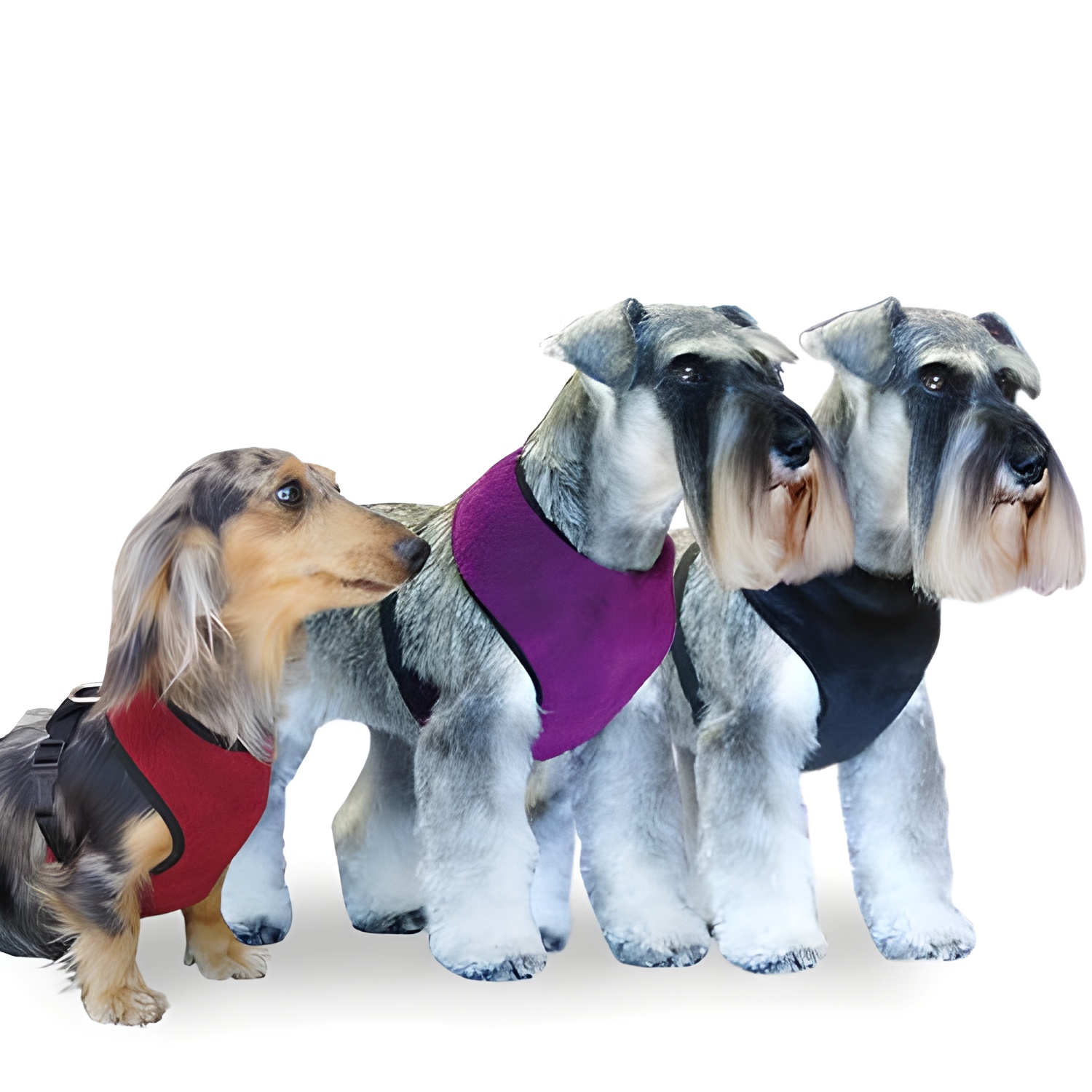 Arnés para Perros Ibañez de Forro Polar, Protección Contra el Frío, Talla M Rojo