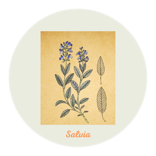 Formato roll on práctico