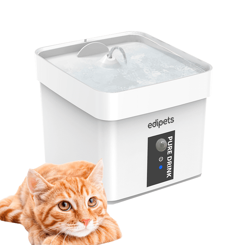 Edipets - Edipets Fuente para Gatos silenciosa con sensor de movimiento- Bebedero Inteligente con Sensor o Continua