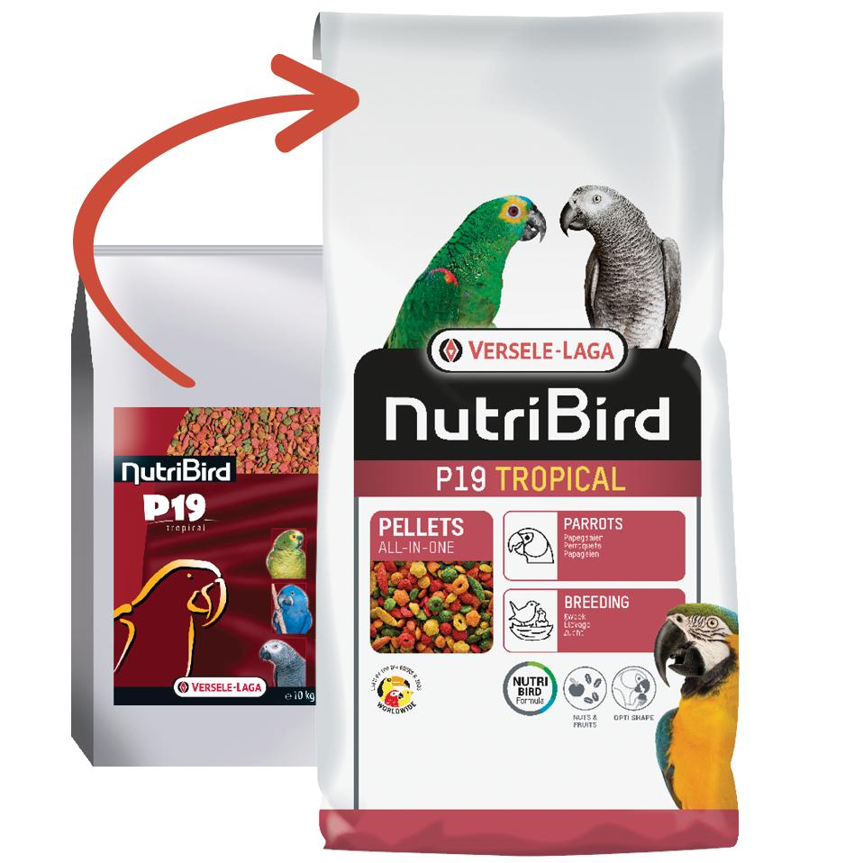 Versele-Laga Pienso de Cría para Loros Nutribird P19 Tropical Versele Laga 10 Kg