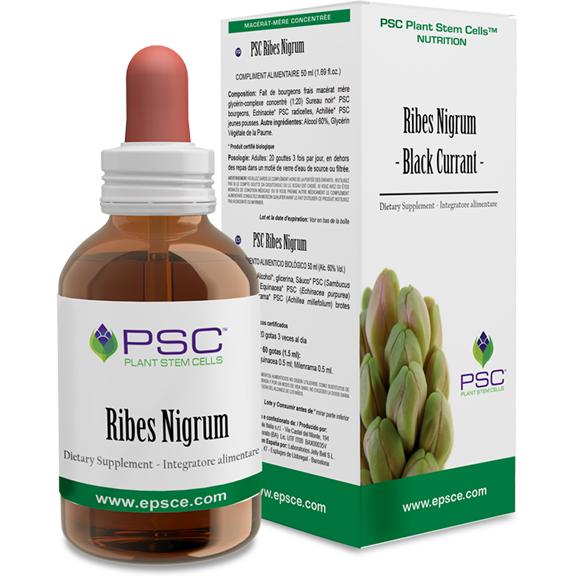 Forza Vita Psc Ribes Nigrum 15 Ml - Mejora el Sistema Inmunitario