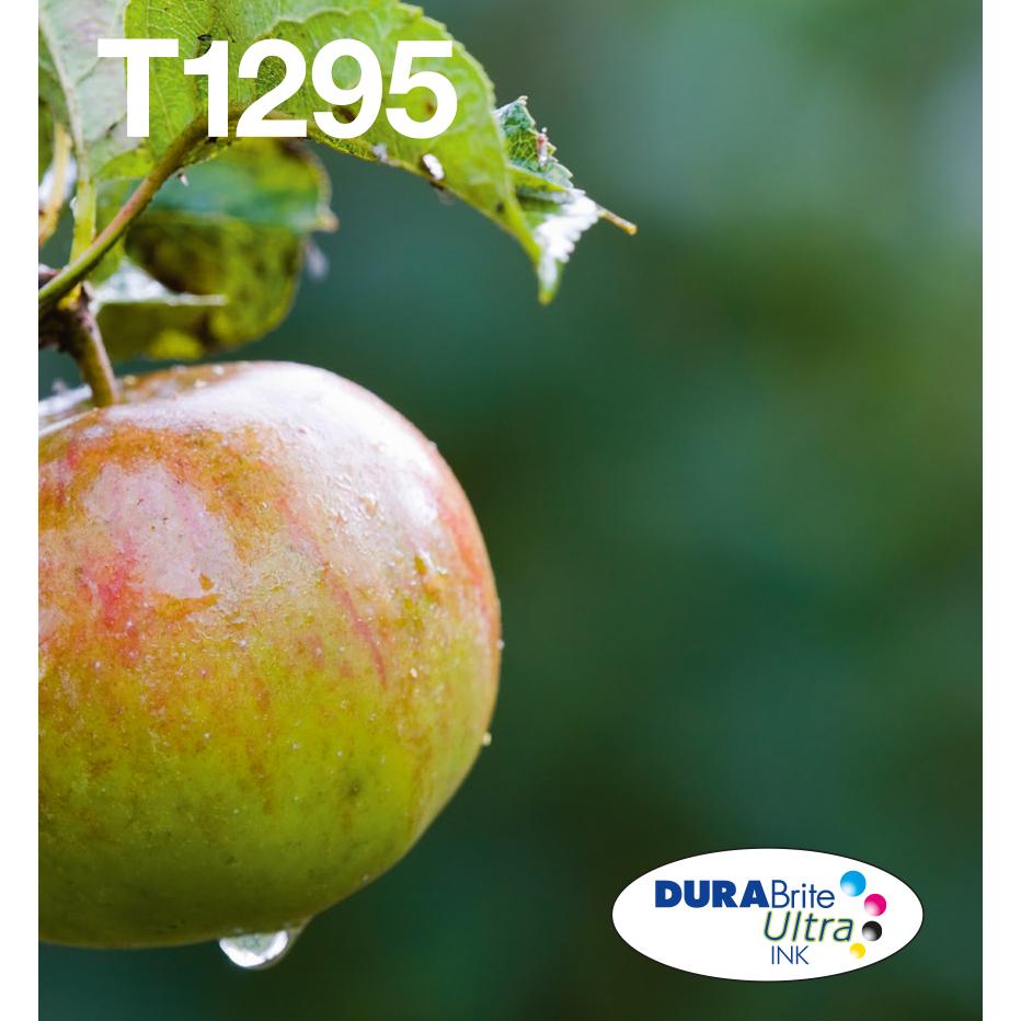 Epson Multipack 4-colours T129 EasyMail