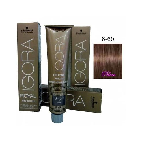 Igora Royal Absolutes 5-60 Castaño Claro Chocolate Natural 60 ml