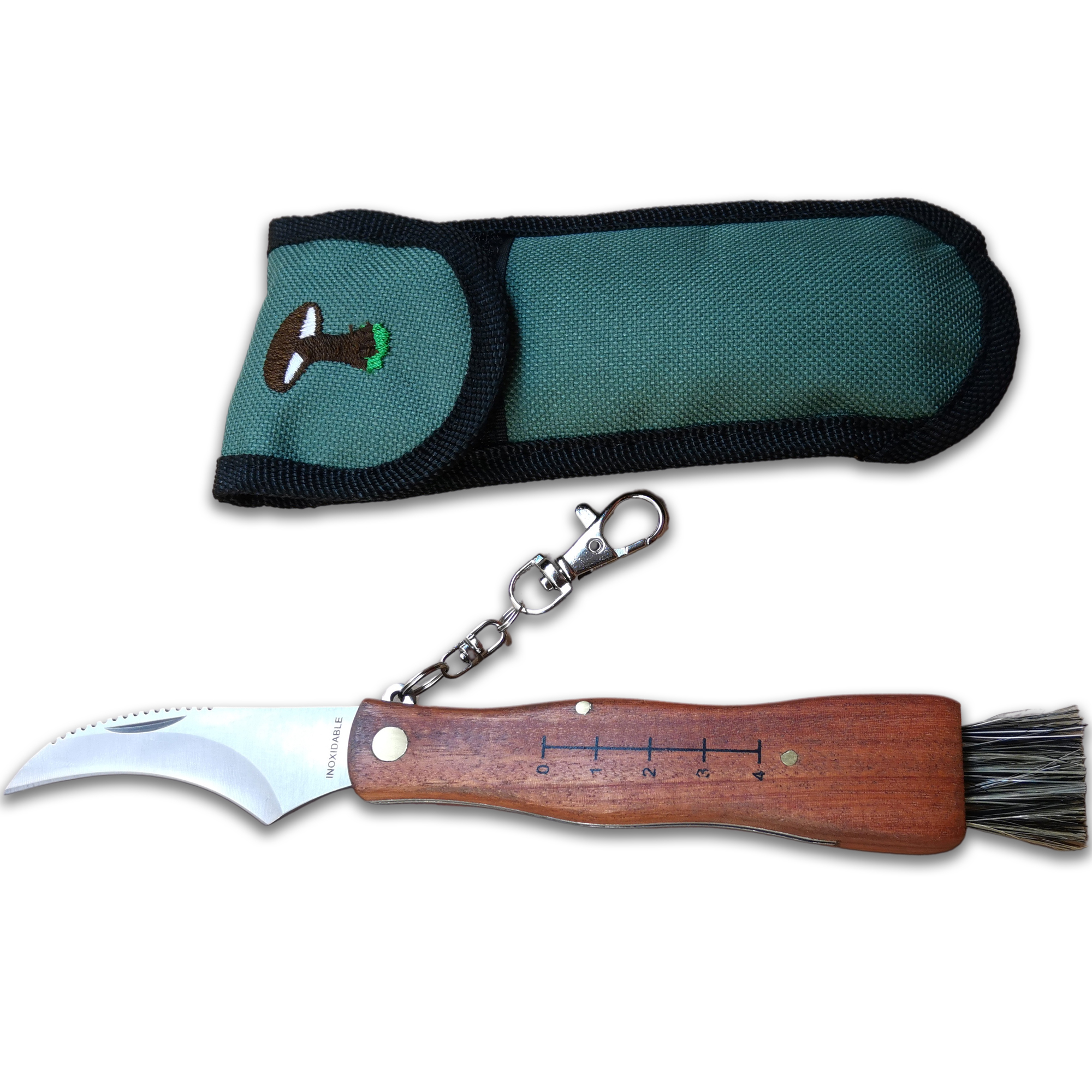 CUPERINOX Navaja Setas Navaja para setas Navaja champiñon navaja setera  Acero Inoxidable  navaja setas cepillo  Funda Navaja Incluida  Navaja Micologica
