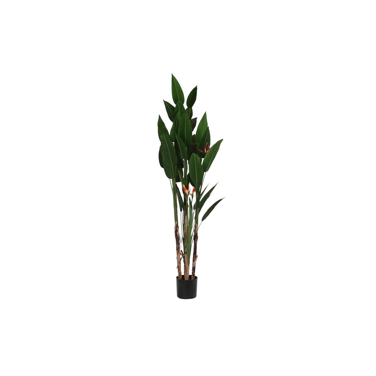 Planta Poliester Pp 90X90X200 Ave De Paraiso Verde El mejor complemento para tu hogar  -Fijalo-