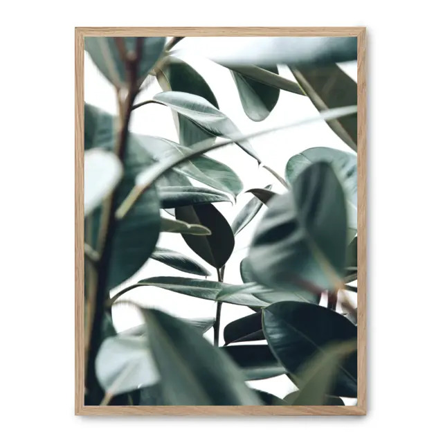 Cuadro leaves i 30x40cm, Póster impreso en papel de primera calidad de 180gr, montado sobre marco de madera MDF acabado roble., Botánica - Naturaleza - Playantas