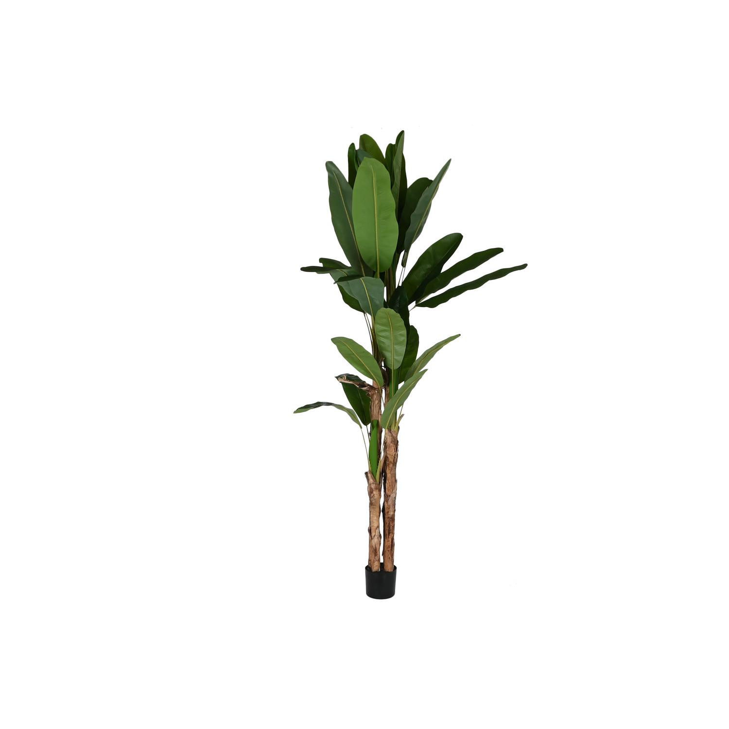 Planta Pe Cemento 90X90X290 Bananero Verde El mejor complemento para tu hogar  -Fijalo-