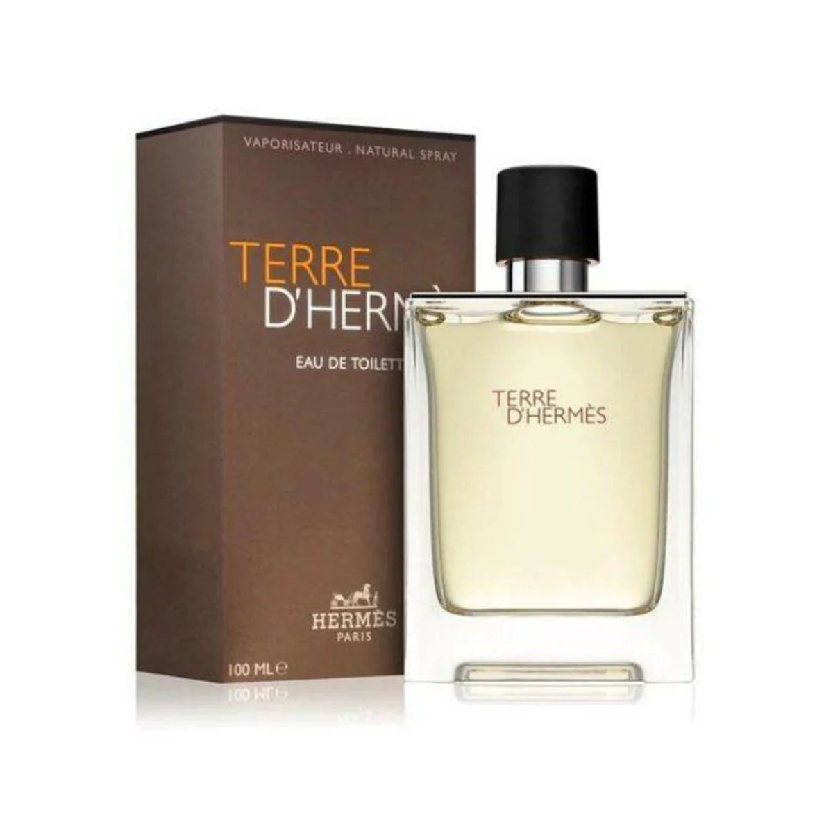 Hermès Terre d’Hermès Eau de Toilette - Fragancia Masculina con Notas Cítricas y Amaderadas