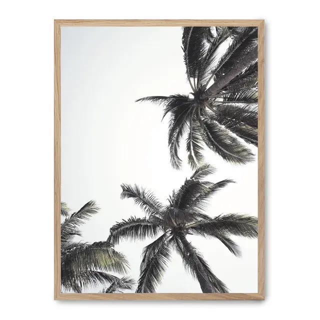 Cuadro palm trees from below i 30x40cm, Póster impreso en papel de primera calidad de 180gr, montado sobre marco de madera MDF acabado roble., Botánica - Palmeras