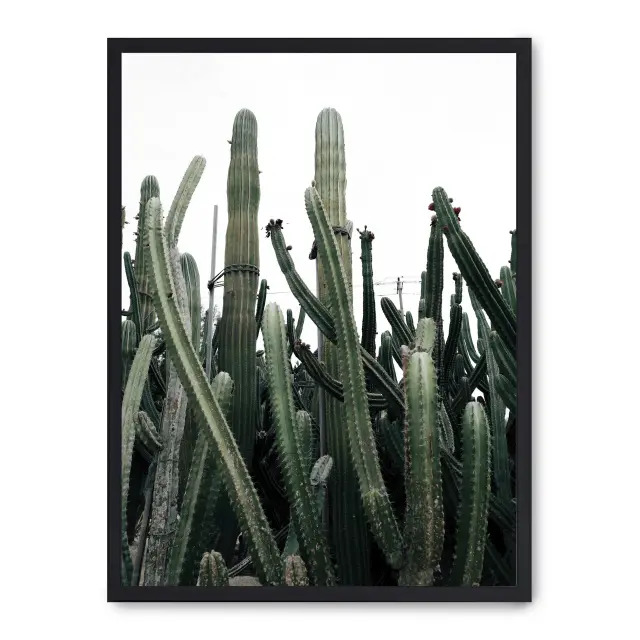 Cuadro cactus iii 30x40cm, Póster impreso en papel de primera calidad de 180gr, montado sobre marco de madera MDF acabado en negro., Botánica - Naturaleza - Playantas