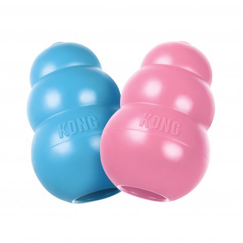 Kong Puppy Mordedor Para Cachorros Azul - Talla M