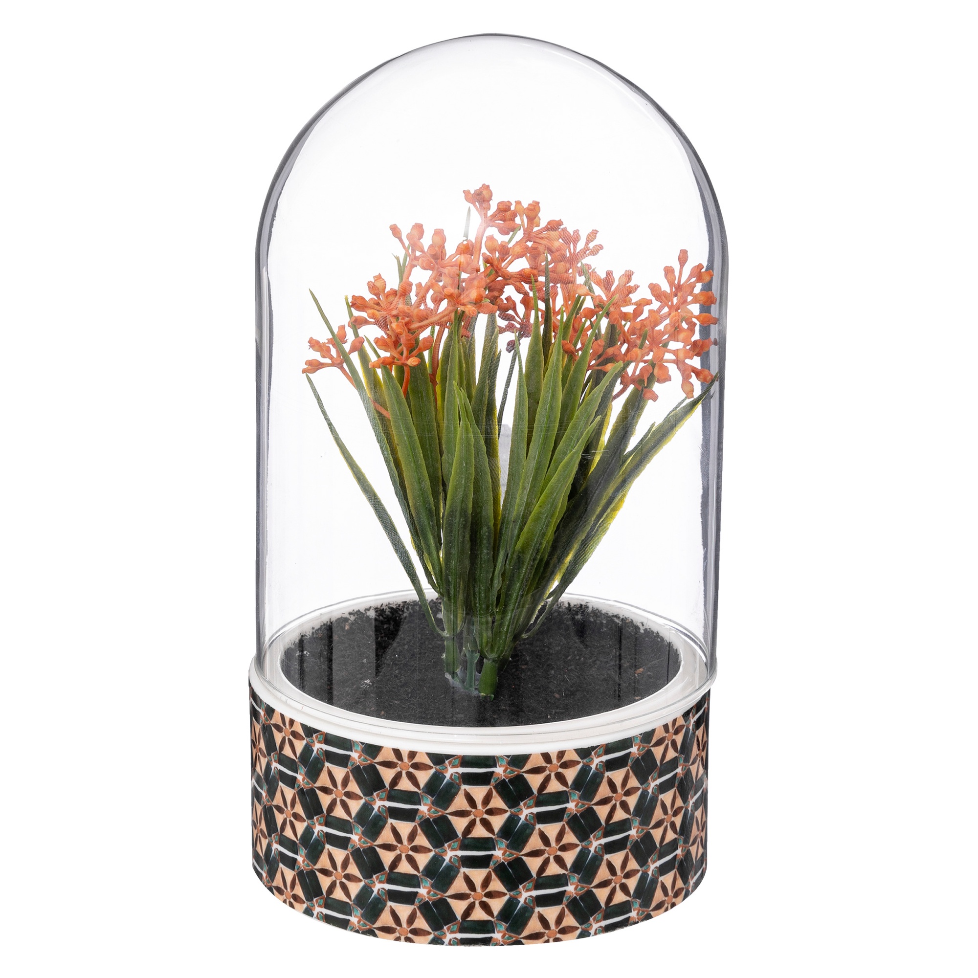 Atmosphera Planta Artificial Ali en Cloche de Cristal H21cm - Decoración de Interiores