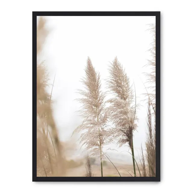 Cuadro pampas iii 30x40cm, Póster impreso en papel de primera calidad de 180gr, montado sobre marco de madera MDF acabado en negro., Botánica - Naturaleza - Playantas