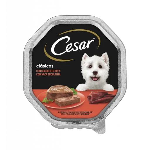 Cesar Comida Húmeda para Perros Sabor Buey en Paté Tarrina - 150 GR
