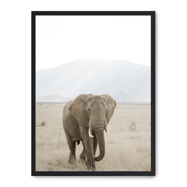 Cuadro elephant in the savana i 30x40cm, Póster impreso en papel de primera calidad de 180gr, montado sobre marco de madera MDF acabado en negro., Naturaleza - Safari
