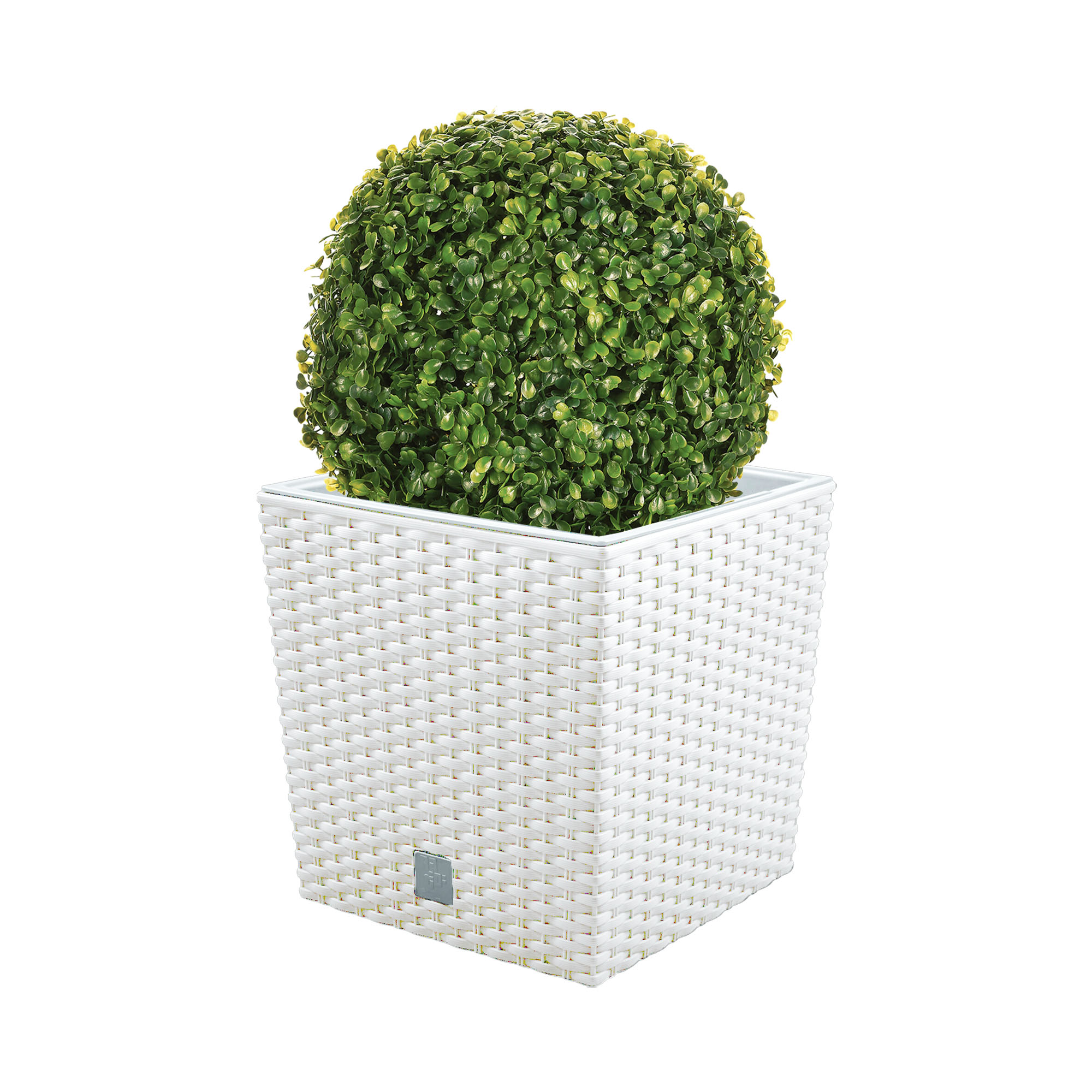 Wellhome Set de Maceta Rato 32 Litros con Cubilete y Bola de Boj para Interior y Exterior