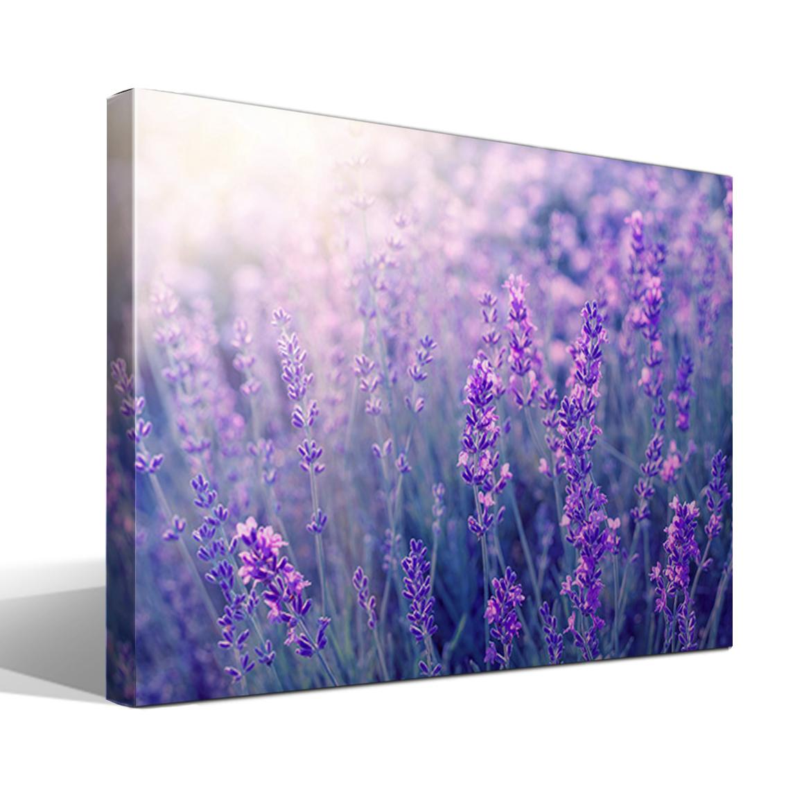 Cuadro Canvas Lavanda 2 - Alta Resolución - Lienzo 100% Algodón - Bastidor Abeto - Fabricado en España