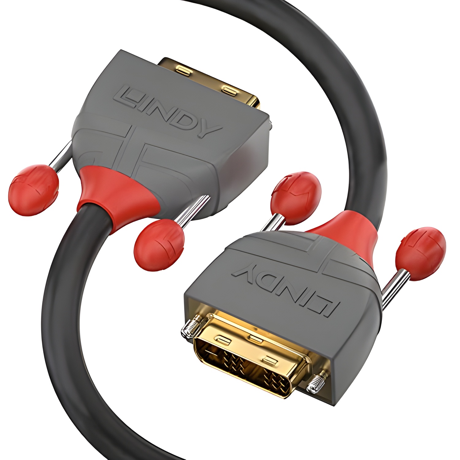 LINDY 36243 DVI-D Cable de enlace único - Anthra Line Negro, 25m
