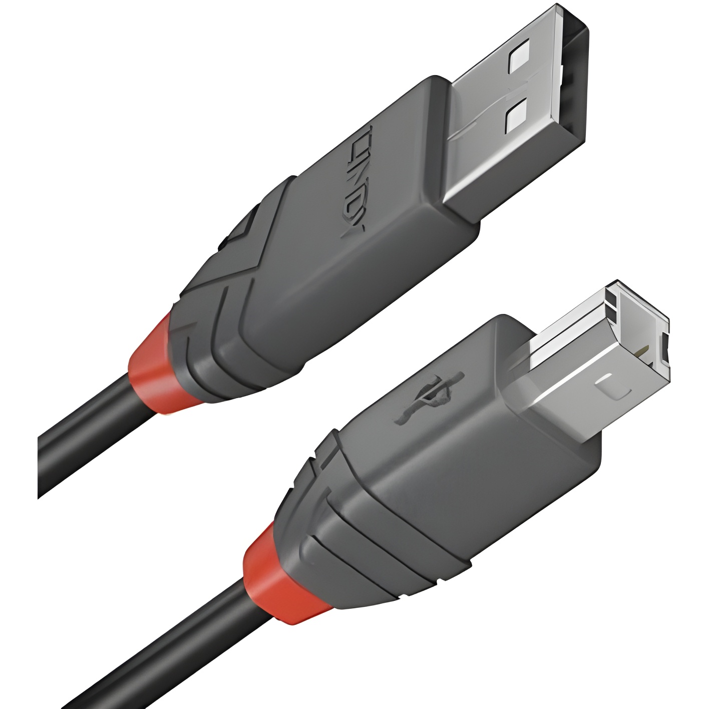 Lindy Cable USB 2.0 3M Tipo A a Tipo B para Ratón Estándar