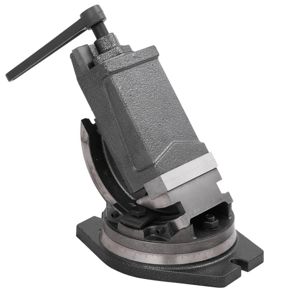 vidaXL Tornillo de Banco Basculante de 2 Ejes Deslizamiento Cruzado Ancho máximo de sujeción 100 mm, 160 mm