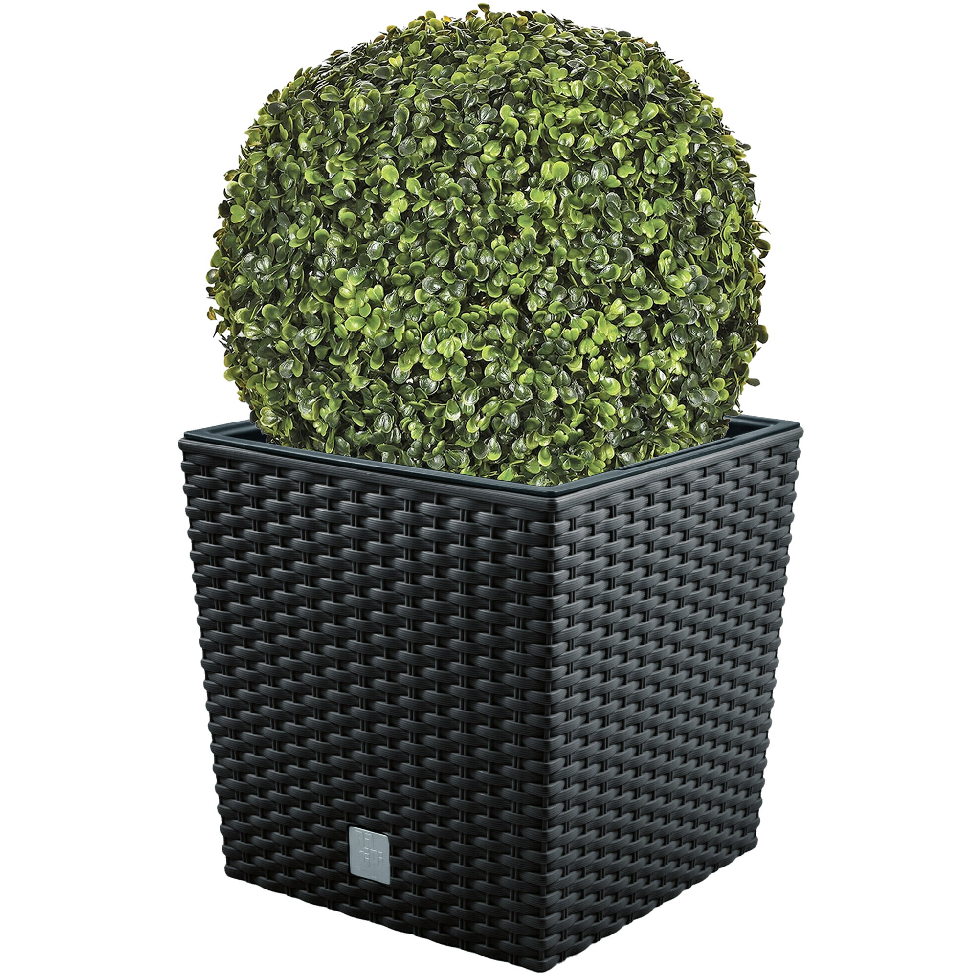 Wellhome Set de Maceta Rato 32 Litros con Cubilete para Plantar en Color Antracita y Bola de Boj Diámetro 36 Cm para Interior y Exterior