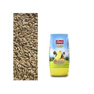 Jarad Alpiste JARAD para Pájaros Activo de Alta Calidad 1 Kg
