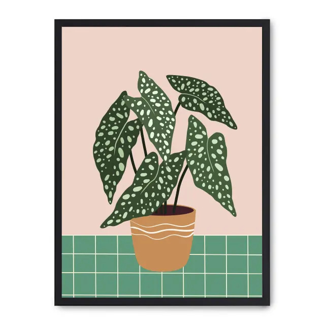 Cuadro plant plot iv 30x40cm, Póster impreso en papel de primera calidad de 180gr, montado sobre marco de madera MDF acabado en negro., Arte - Pinturas