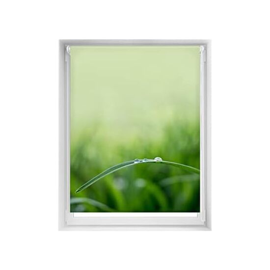 BLINDECOR - Estor Estampado EasyFix SIN TALADRAR - Estor Enrollable para Ventana - Estor Elegante y Práctico - Estor Enrollable con Diseño Único